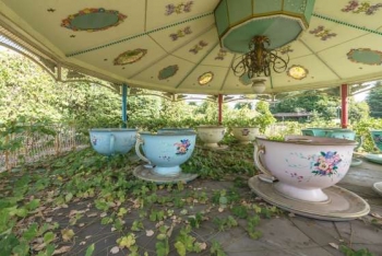 The Elegance Of Ruined Things