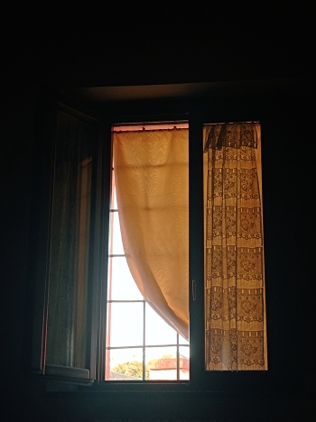 I Have Always Loved A Window