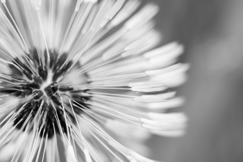 I Won't Last A Day Without You